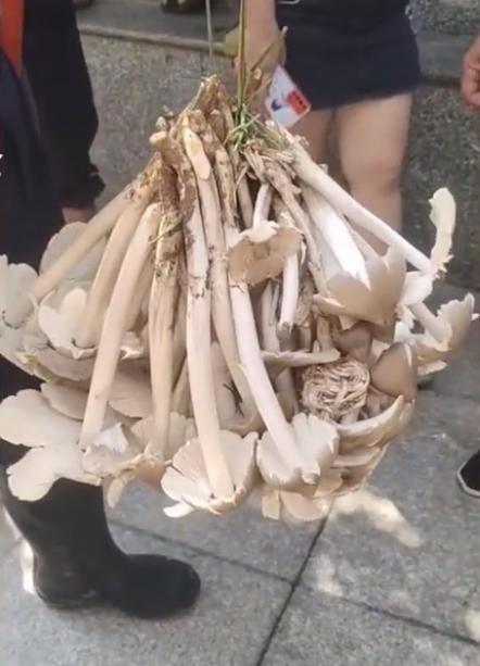 贵州之声,探寻多彩贵州的播音之旅